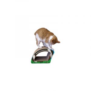 Come with our 100% pure Cat Claws Naturally Nip Catnip