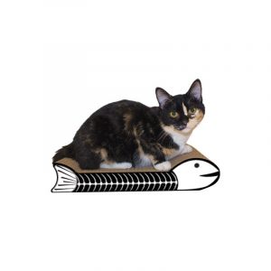 This kitty isn't afraid of the spooky scratcher!