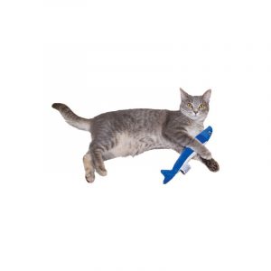 Sardie is the perfect length to kick around!