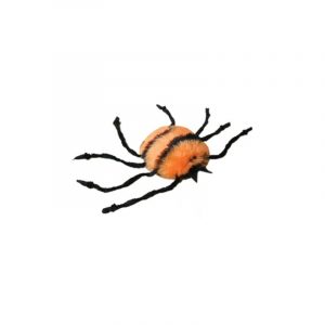 Cats love this creepy crawly!