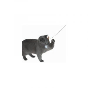 Cats love the Cat Dancer!