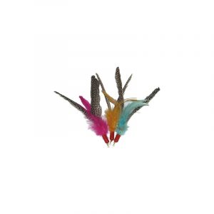 Sweet lures for your cat!