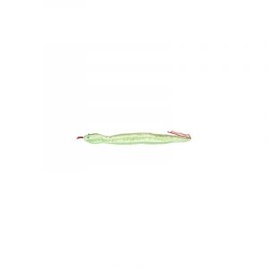 This snake can be refilled with catnip to ensure freshness.
