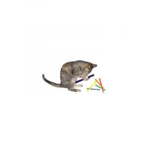 Cats can spend hours playing.
