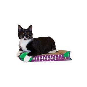 Imperial Cat Fish Bone Scratch 'n Shape, Purple and Green