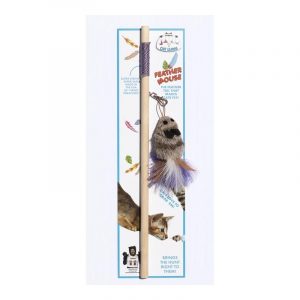 Fun Interactive Cat Wand
