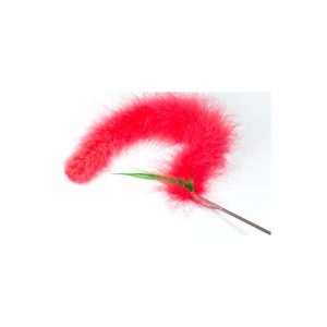 18" Long Interactive Cat Wand
