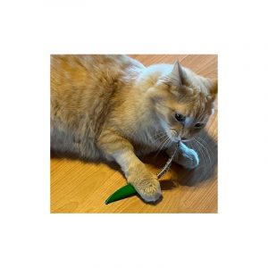 Leather Feather Catnip Flipping Flinger- set of 2