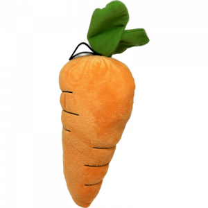 Crunchy Carrot