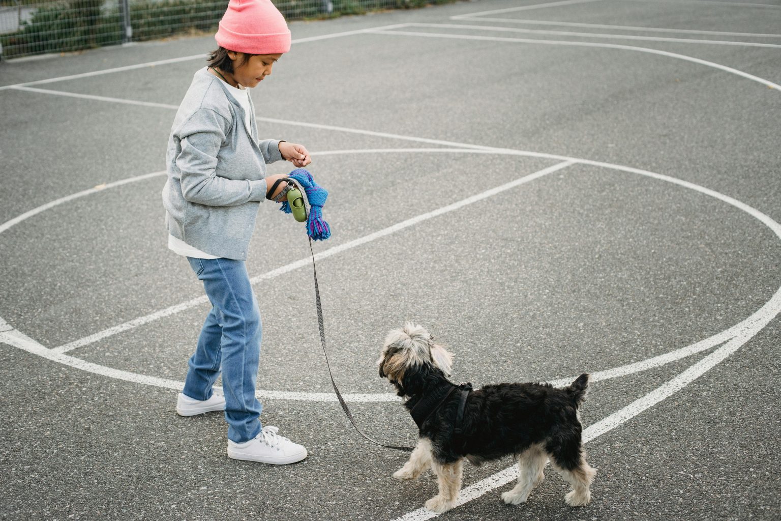 A child in a pink beanie playing with a Yorkshire Terrier on a court.